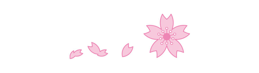桜（cherry blossom）